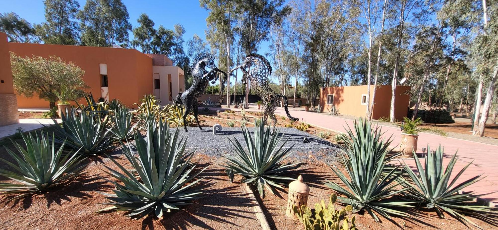 فيلا Le Jardin De Jeanne مراكش المظهر الخارجي الصورة